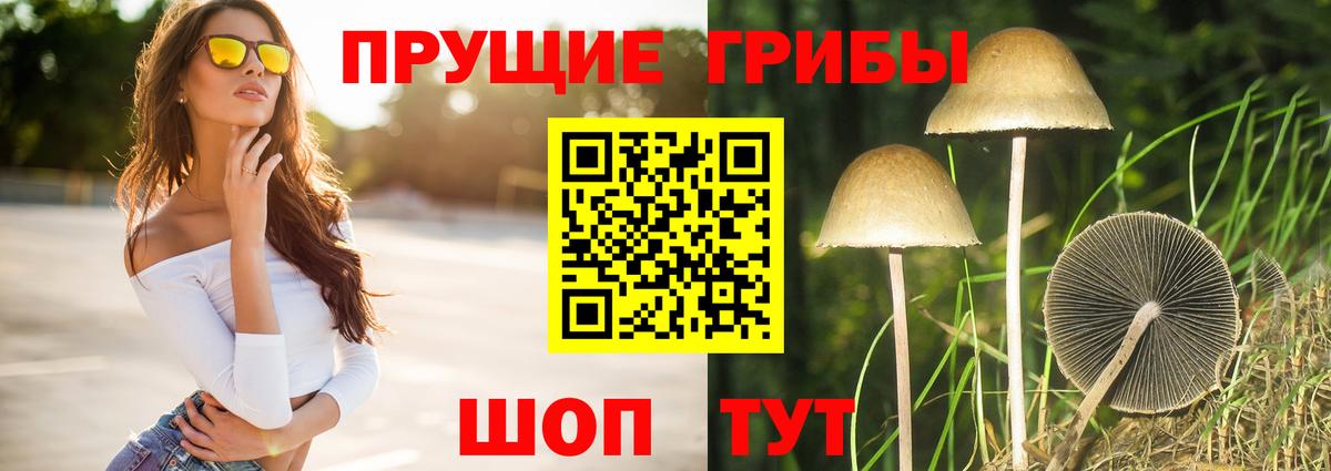 Алапаевск  Галлюциногенные грибы GOLDEN TEACHER  продажа наркотиков  Вход с VPN  Галлюциногенные грибы мицелий 